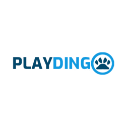 Playdingo Casino app