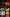 The Red Lion Casino app